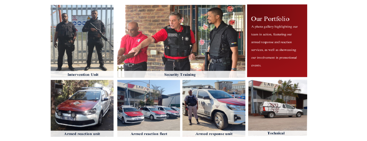 LAD Security Portfolio